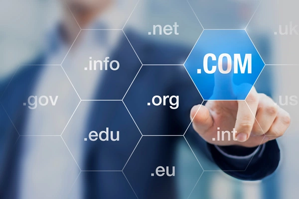 Domain Names Law